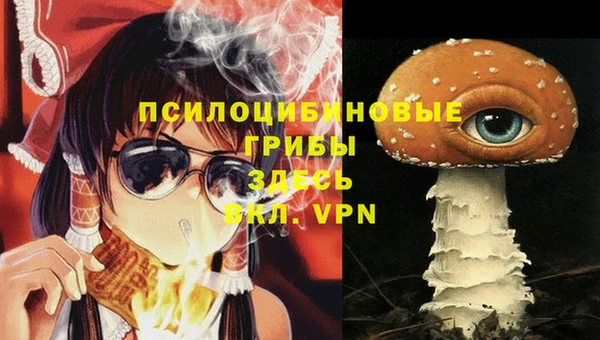 mdma Каменногорск