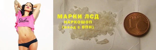 гидропоника Иннополис