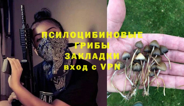 mdma Каменногорск